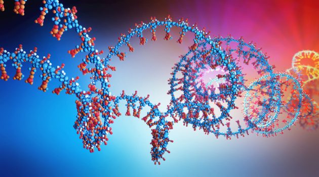 Vida na Terra - RNA DNA