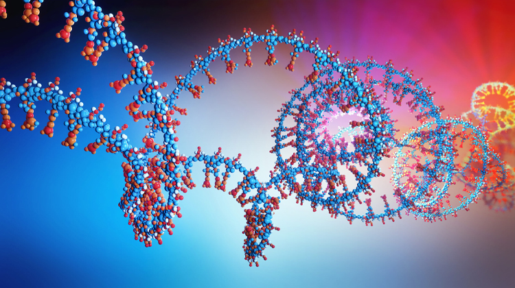 Vida na Terra - RNA DNA